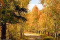 Colorado Fall Colors-4375.jpg